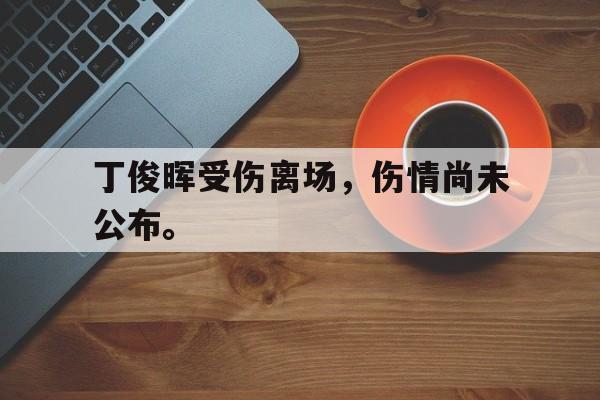 官方网页版登录入口-丁俊晖受伤离场，伤情尚未公布。