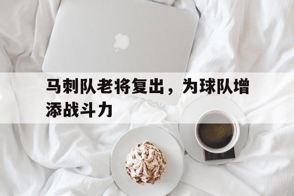 官方网页版登录入口-马刺队老将复出，为球队增添战斗力